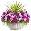 Künstliche Topfpflanze 65 cm Kunststoff Weiß Grün Violett Magenta Dekoratives Blütenarrangement